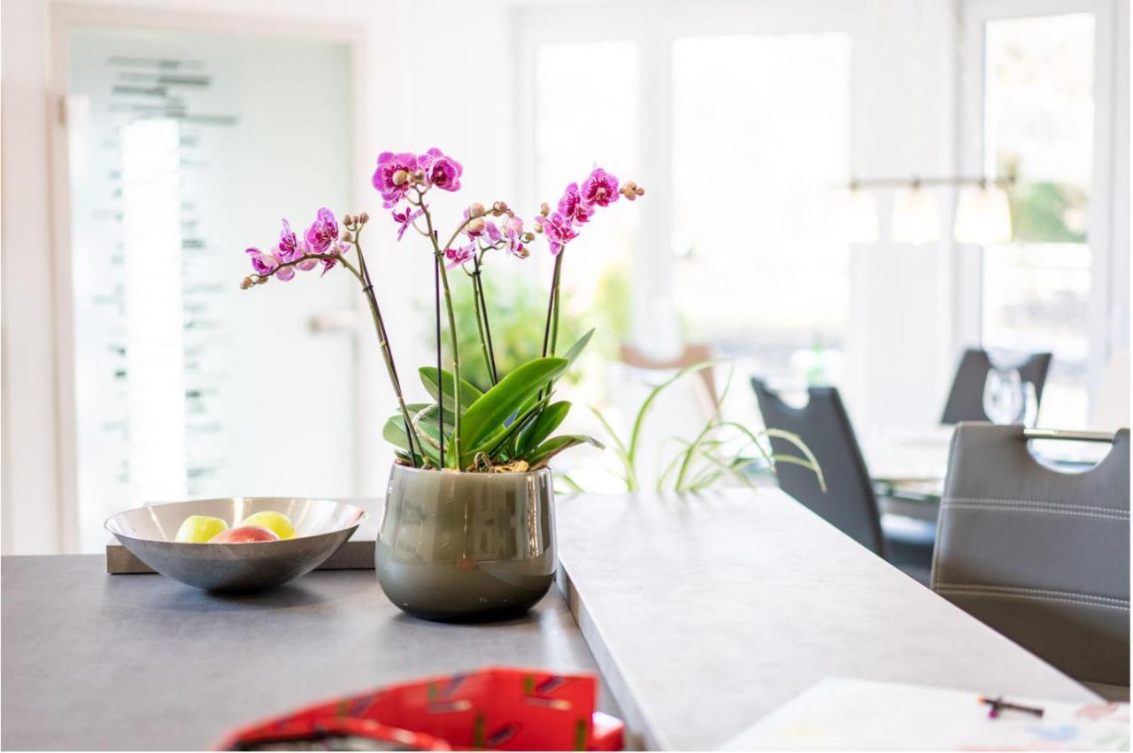 Ferienwohnung Birkenried Reisensburg Exteriér fotografie